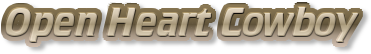 Open Heart Cowboy